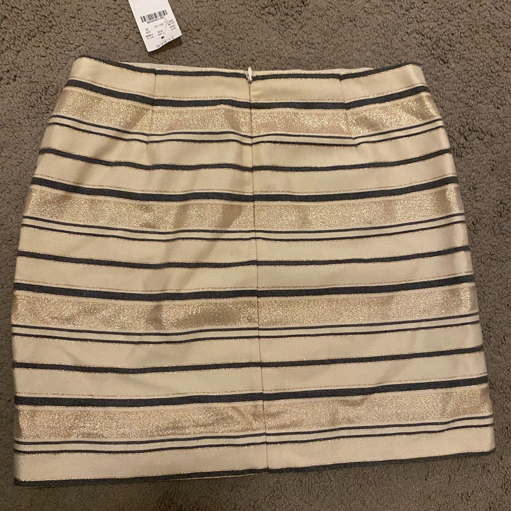 Striped Beige and Gold Skirt